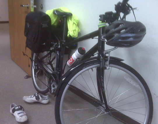 The "workhorse"