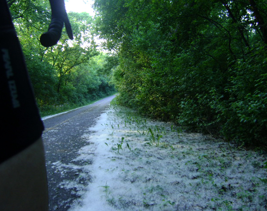 Summer snow