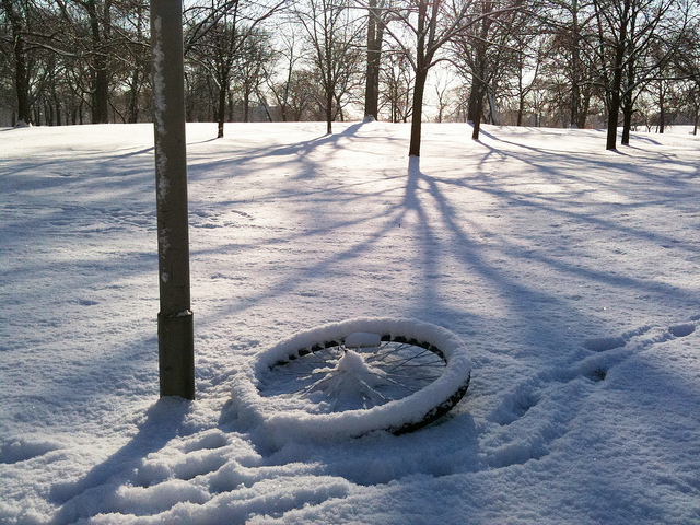 Humboldt Park 23/365