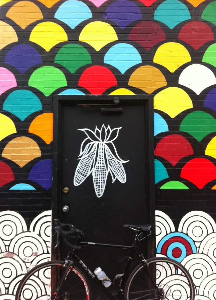 Corn-Door-Chicago-soozed-Protecting-My-Front-Wheel-cycling