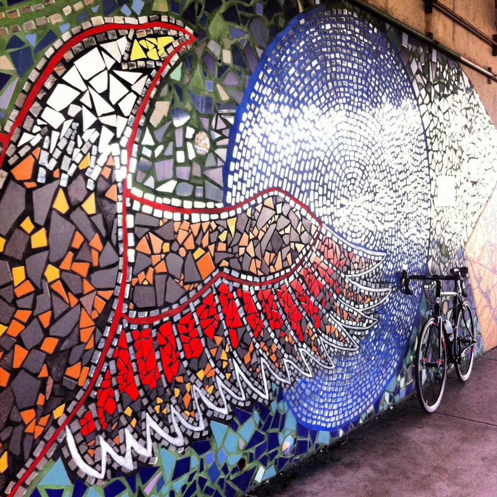 Foster-Avenue-Chicago-soozed-cycling