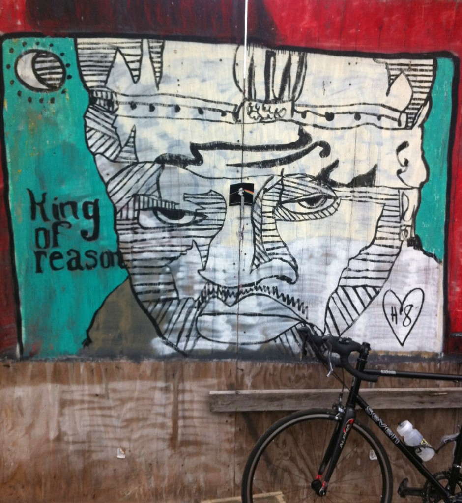 King-of-Reason-Chicago-soozed-Protecting-My-Front-Wheel-cycling