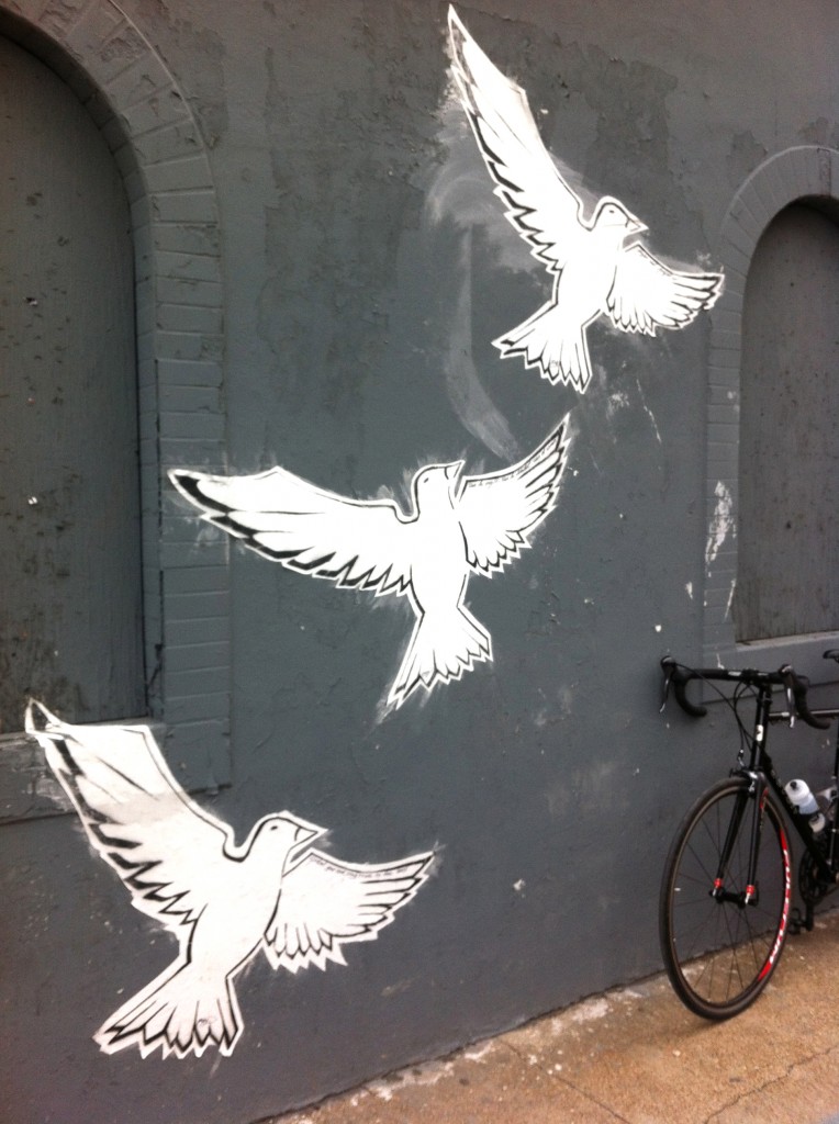 Peace-Chicago-soozed-Protecting-My-Front-Wheel-cycling