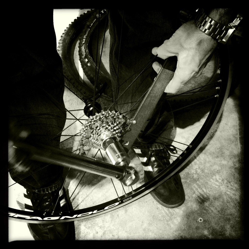 Campagnolo cassette Campagnolo cassette