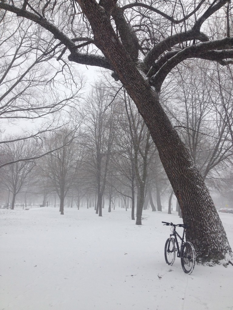Christmas-Chicago-cycling-snow-2012-soozed