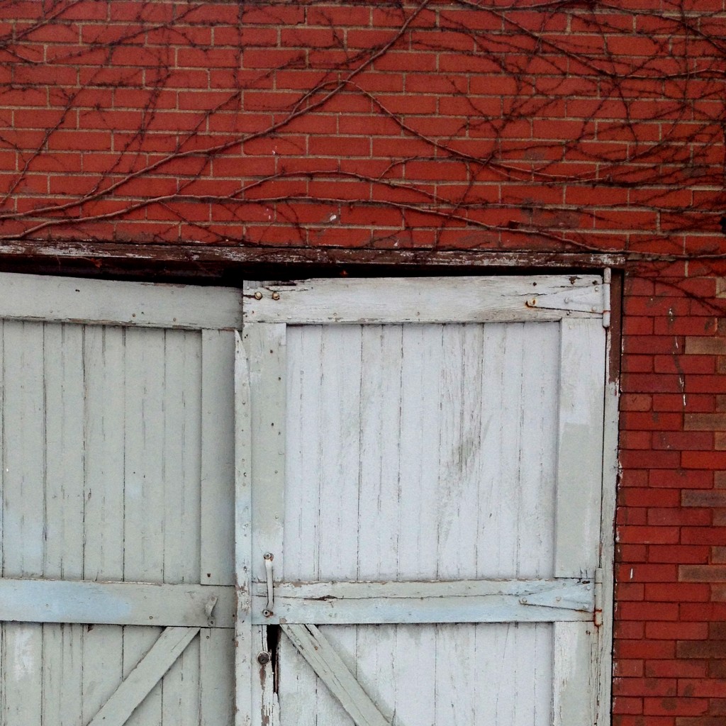 garage-door-soozed