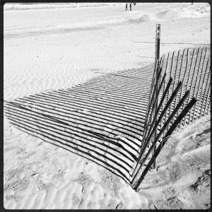 Chicago4-New-Years-Day-2013-soozed.jpg