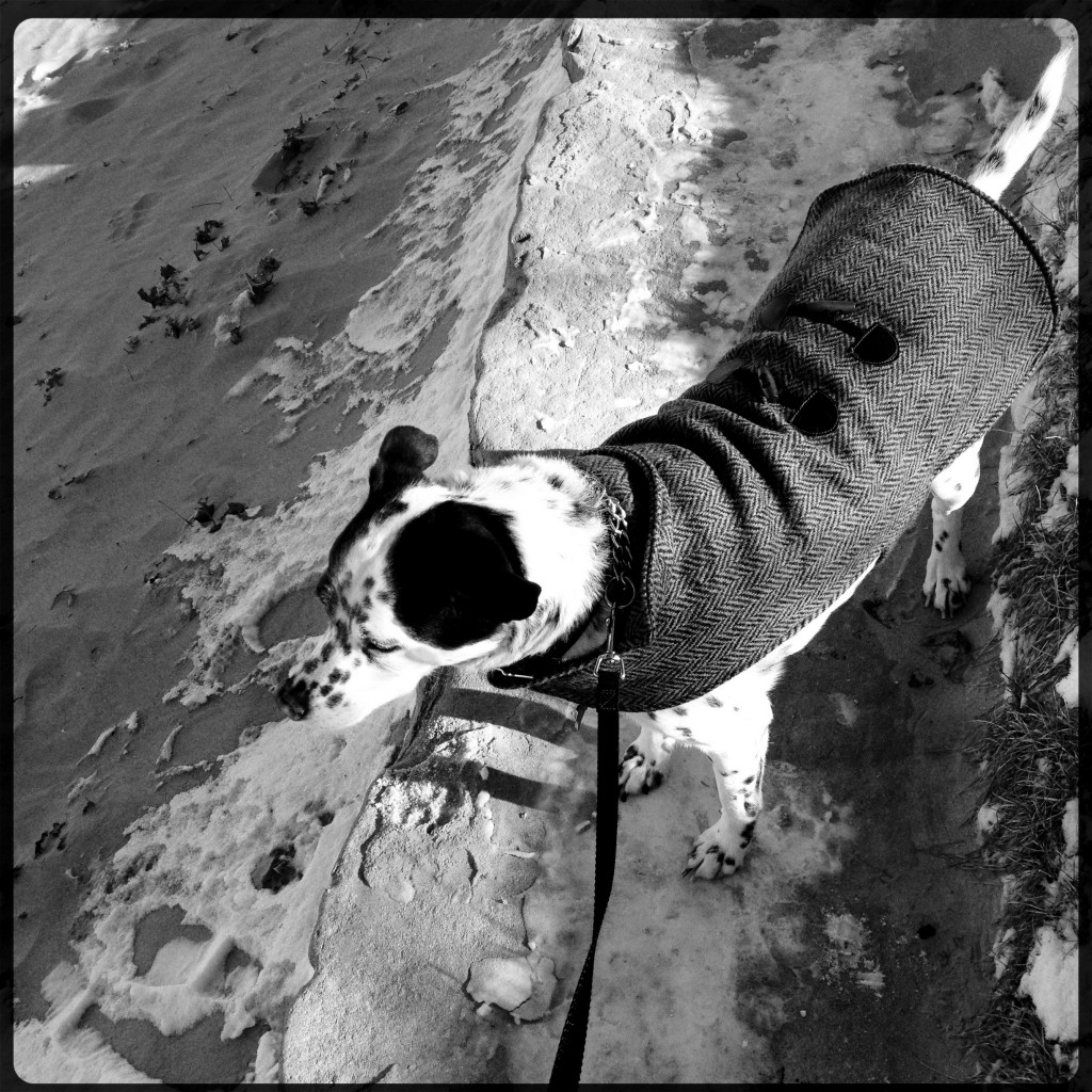 Chicago9-New-Years-Day-2013-soozed.jpg