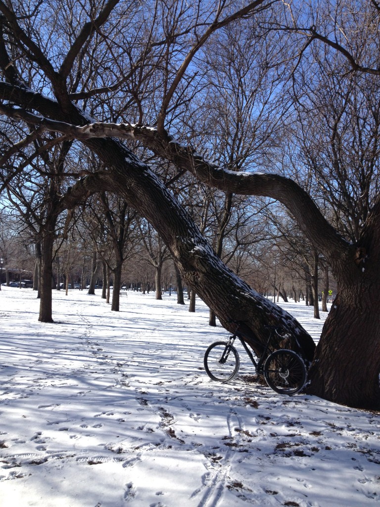 soozed-snow-ride-chicago-cycling